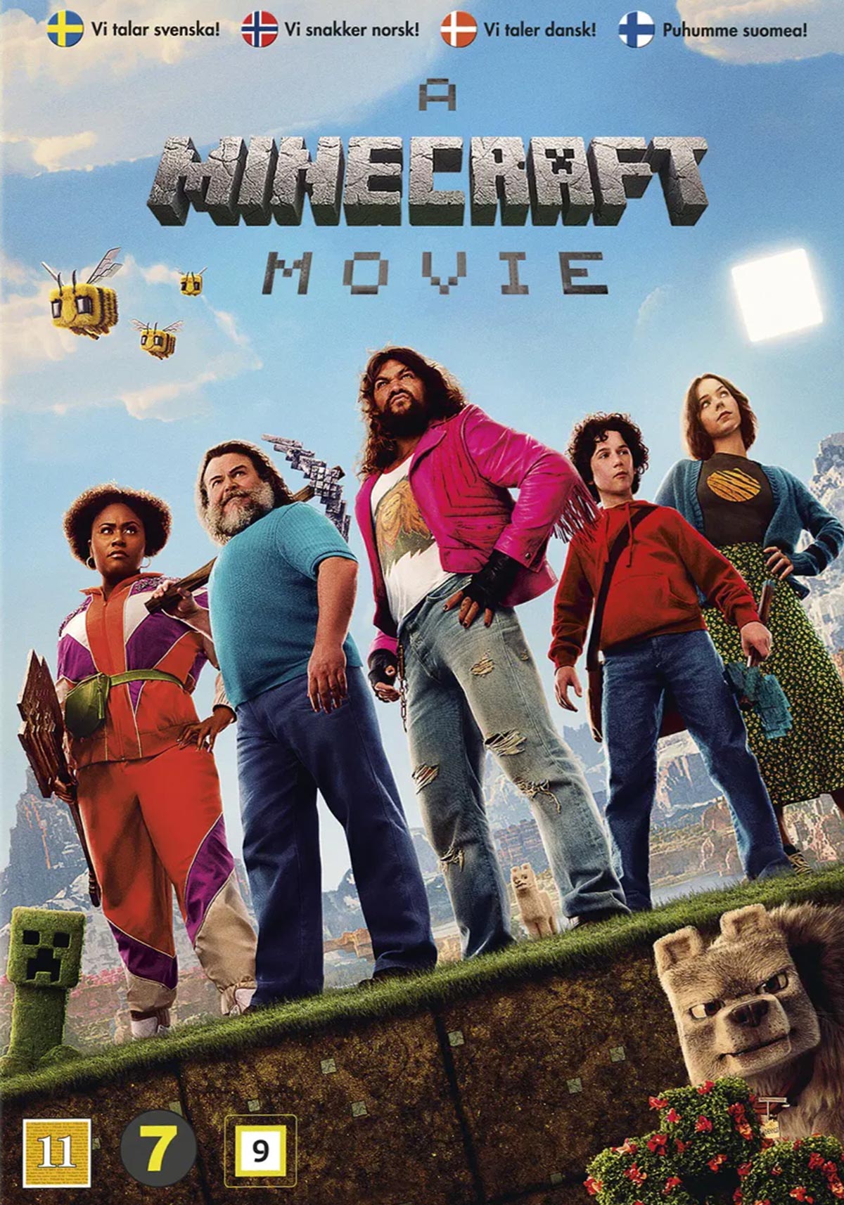 A Minecraft Movie (DVD)