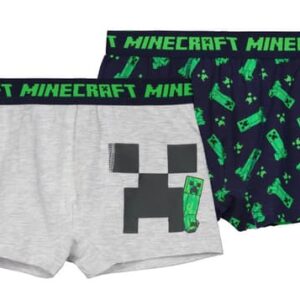 Minecraft barnboxershorts 2 pack